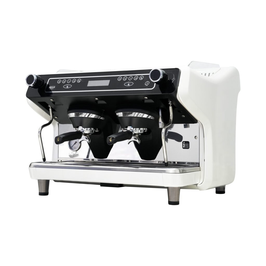 Gaggia-La-Giusta-2-Group-Espresso-Machine-B-scaled-1.jpg